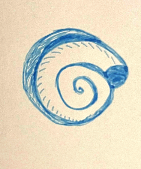Shell Ear